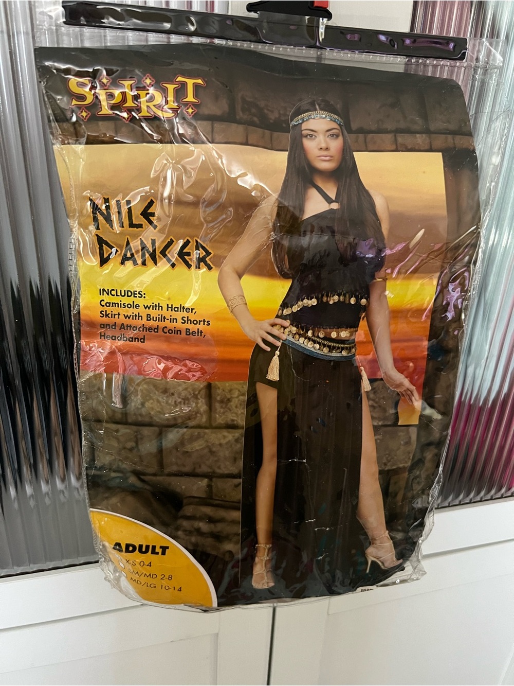 Spirit Nile Dancer Costume - Black with Gold Coins